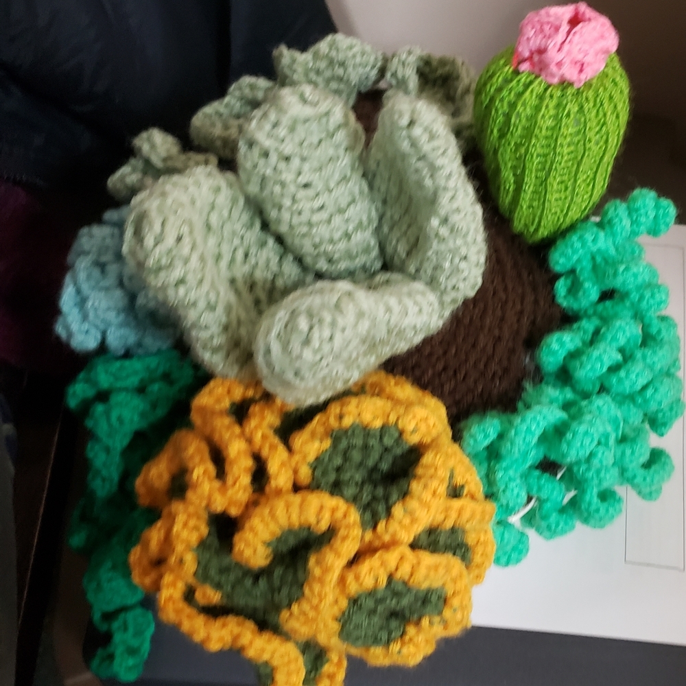 Crochet Succulent arrangement
